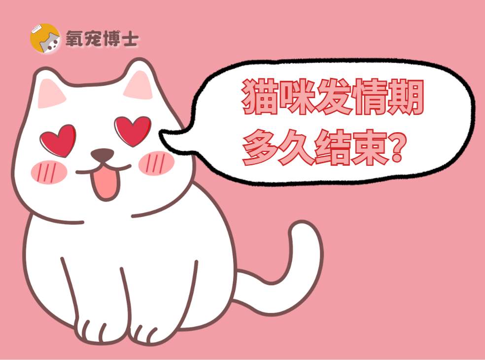 猫咪发情期多久结束？
