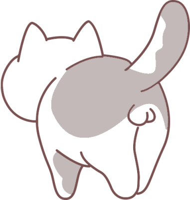 猫咪发情怎么缓解？