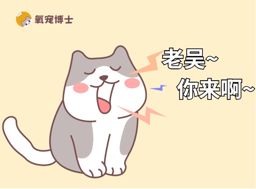猫发情一直叫是难受吗？