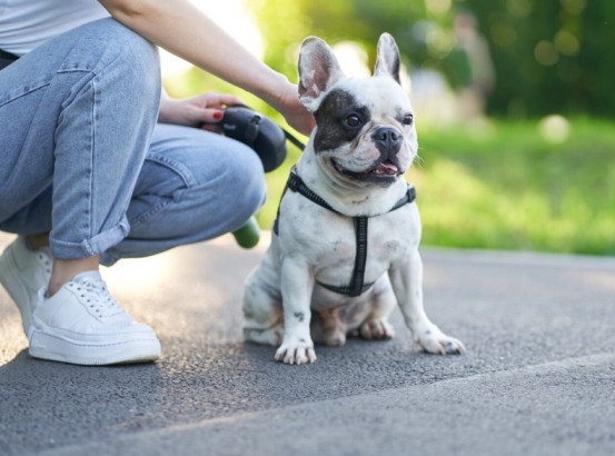 狗狗走两步就坐下是什么原因？