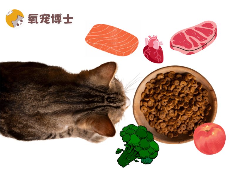 猫咪吃什么对心脏好？