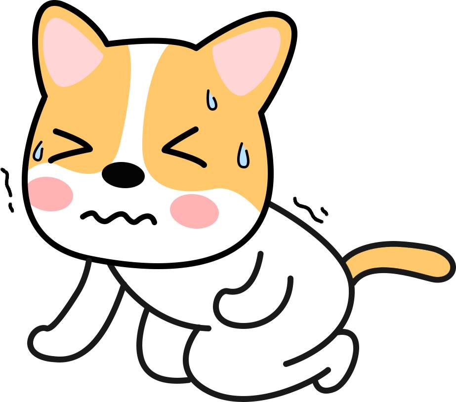 狗狗肠胃不好怎么调理？