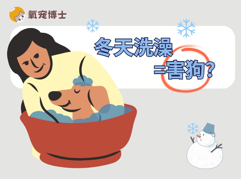 冬天可以给狗狗洗澡吗? 冬天可以给狗狗洗澡吗?