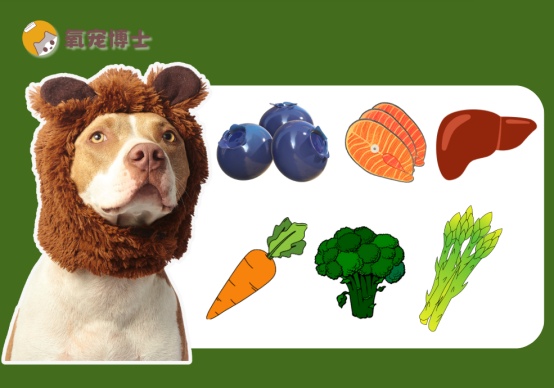 狗狗吃什么对眼睛有好处？