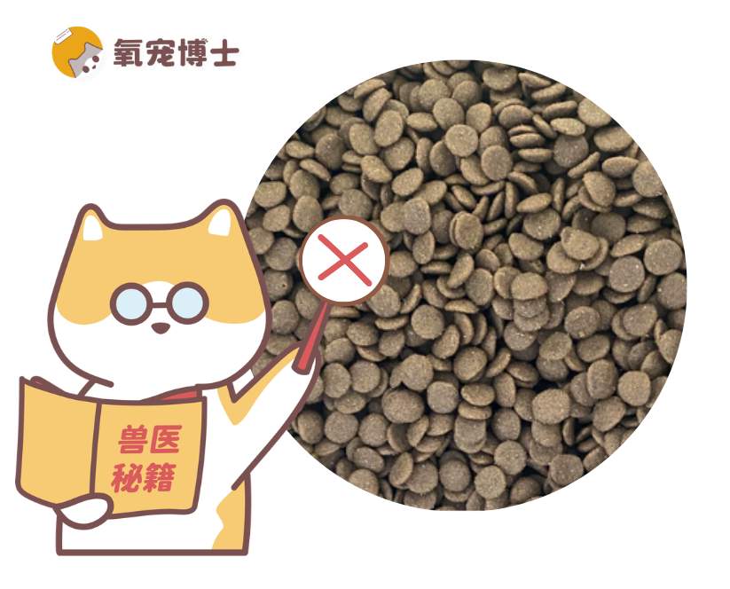 猫粮里不能有哪些成分？