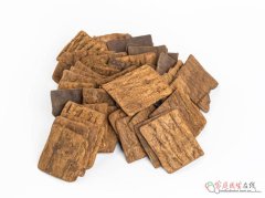 舌有裂纹齿痕、气虚水湿重？中医科学调理方案助你健脾祛湿