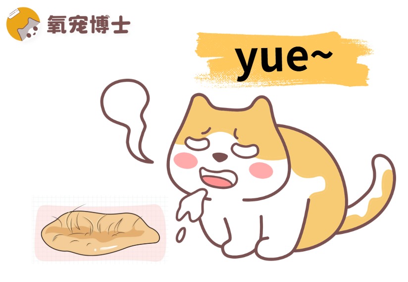 猫咪吐毛球是好事还是坏事？