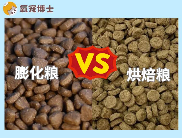 猫粮科普：膨化粮和烘焙粮有什么区别？
