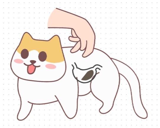 猫咪一天吃几顿