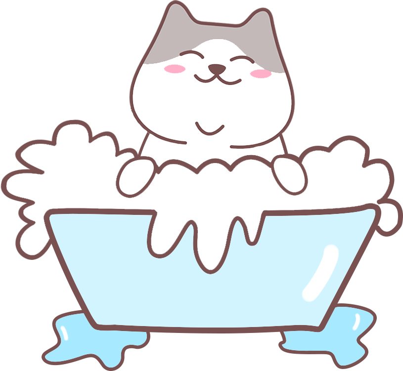 怎么养出社牛小猫？