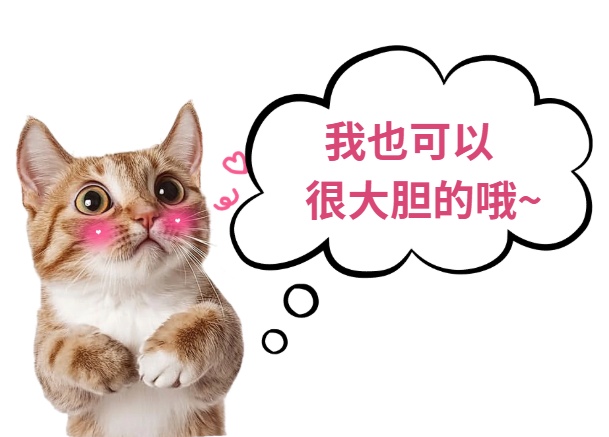 如何养出社牛小猫？