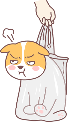 狗狗突然在家乱尿怎么办？