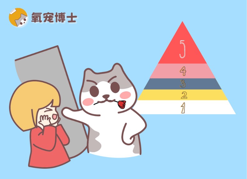 猫咪爱主人的5个等级