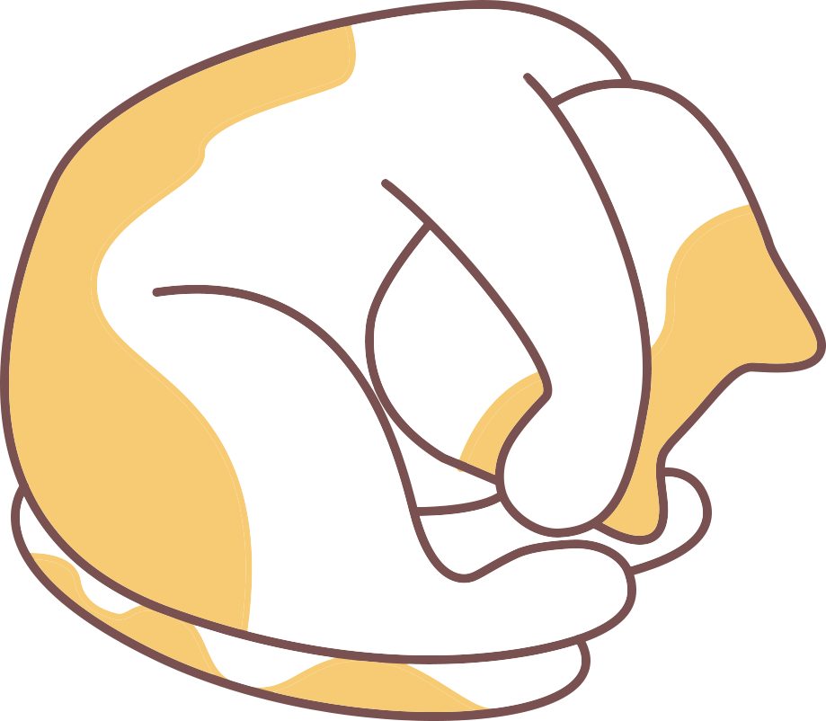 猫咪老年痴呆症状