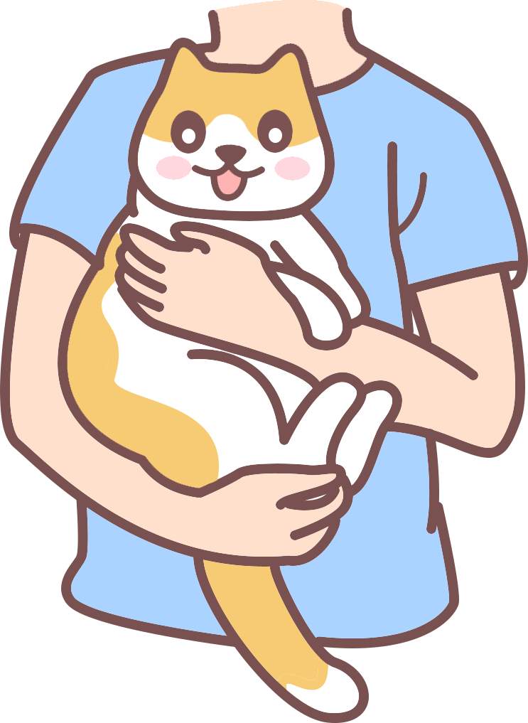 猫咪老年痴呆了怎么办