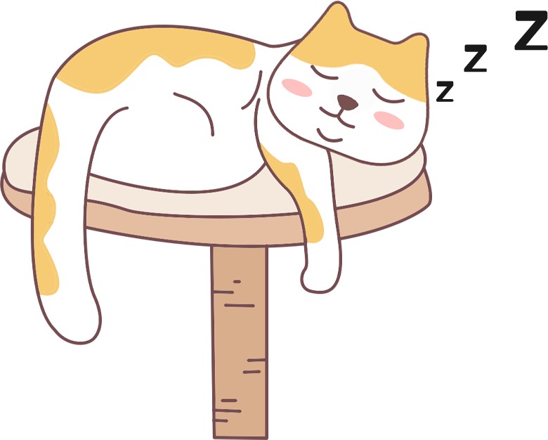 猫知道你在照顾它吗？