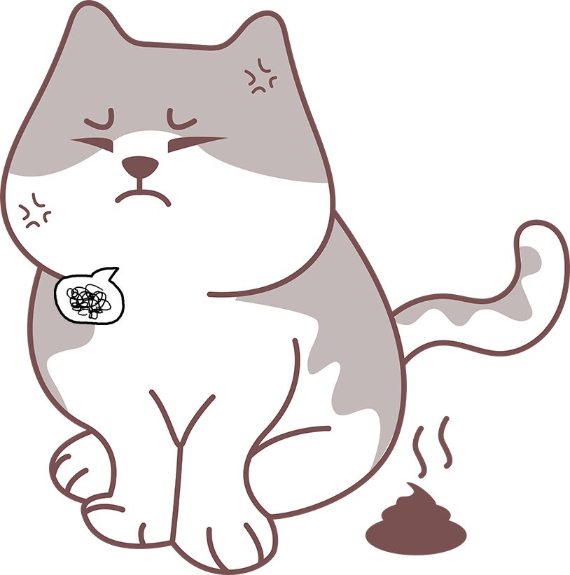 猫咪经常软便怎么调理？一次说清