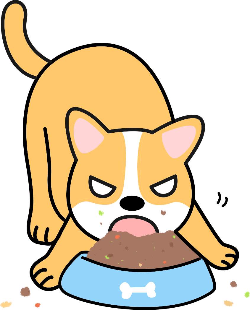 怎么预防犬瘟后遗症