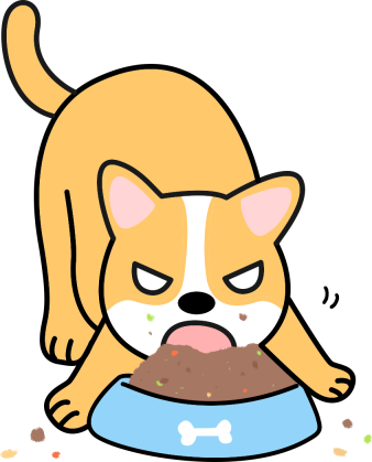 狗狗没有牙齿了能吃狗粮吗