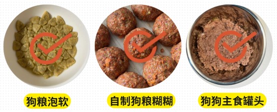 狗狗没有牙齿了吃什么？