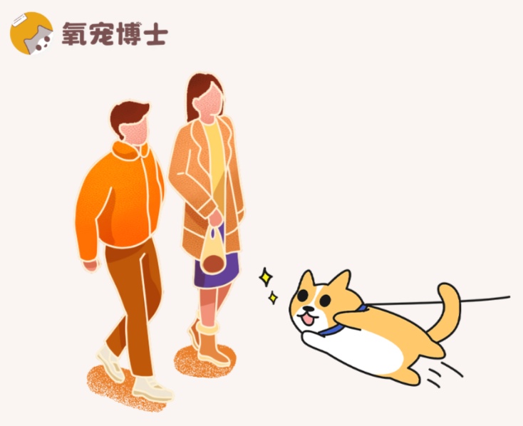 狗狗对陌生人过于热情怎么办