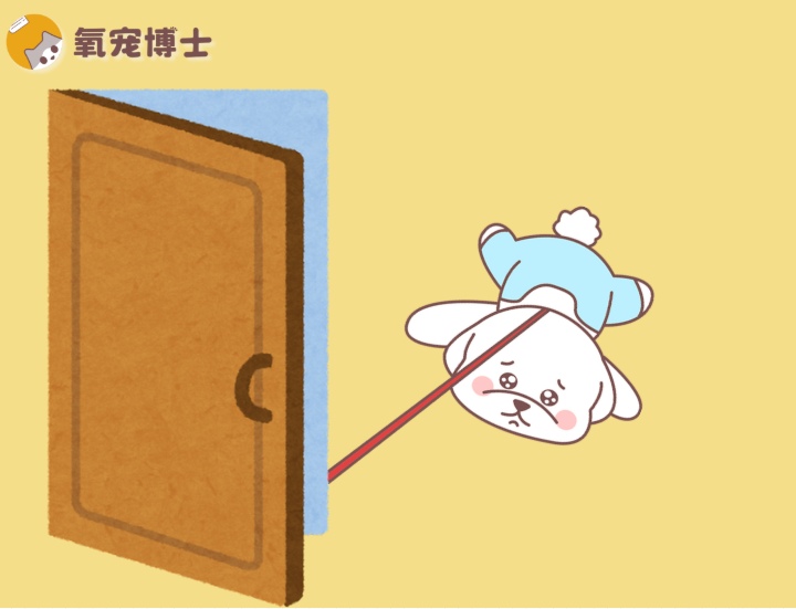 狗狗突然不愿意出门是怎么回事？