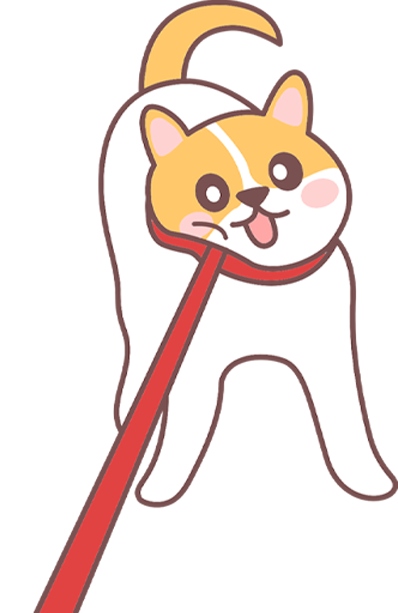 狗狗突然不爱出门散步