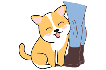 狗狗为什么喜欢咬裤腿