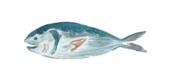 猫咪肝功能不好可以吃什么？