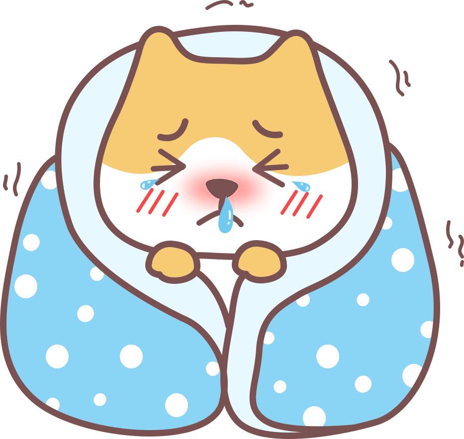 猫咪可以吹空调吗