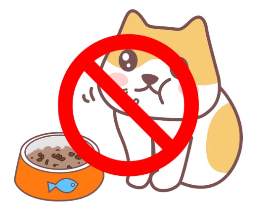 猫咪肝功能不好不能吃什么？