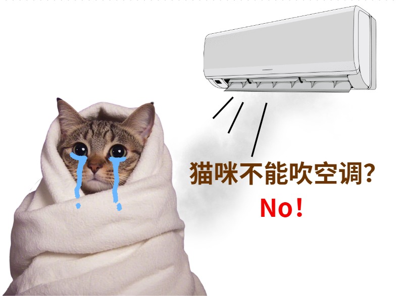 怎么避免猫咪得“空调病”？