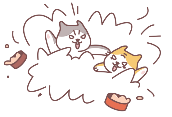 猫咪讨厌什么气味