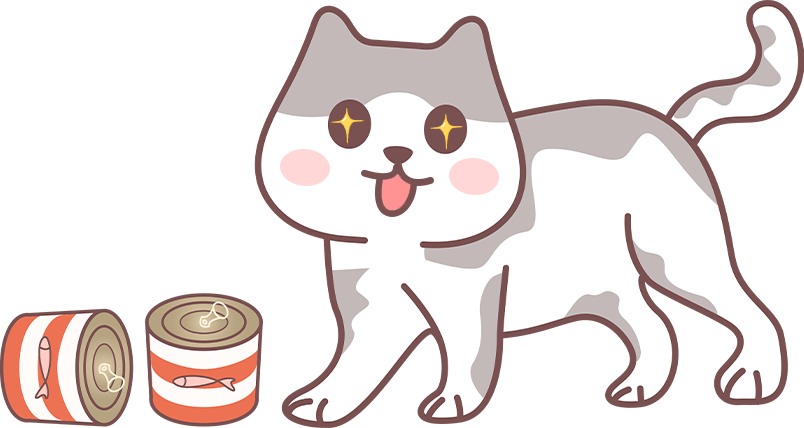 新手养猫要注意什么