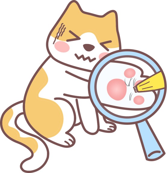 猫咪不给碰爪子