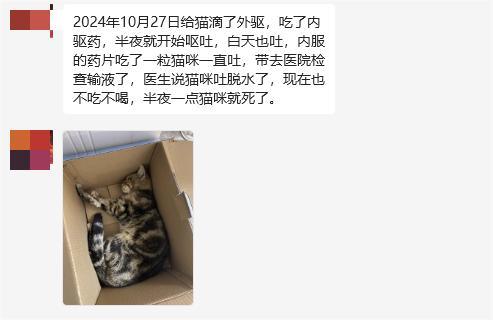 猫咪驱虫后呕吐死亡是怎么回事？
