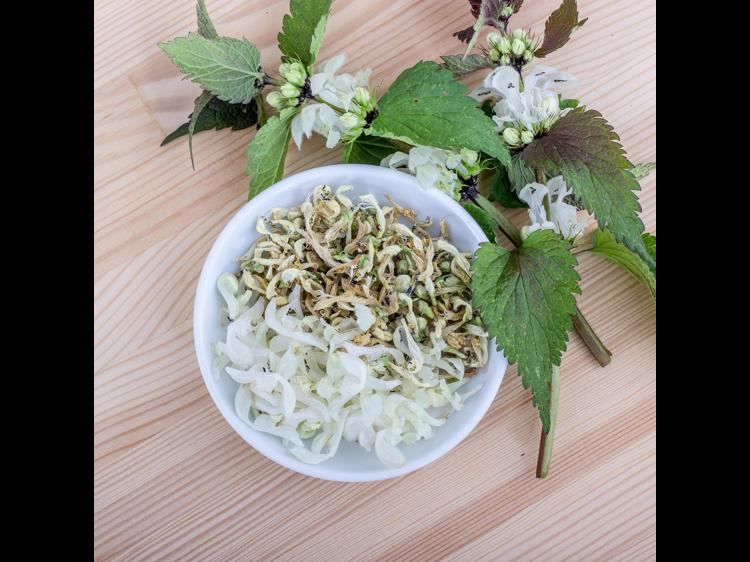 白花蛇舌草水辅助抗炎？这些知识要理清