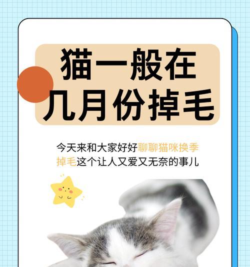 小孩养猫的好处（培养责任心，增进情感交流，促进身心健康）