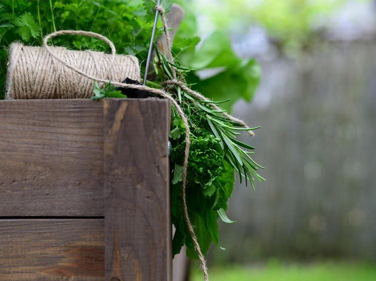 血热证饮食调理:用清热养血食物缓解不适 血热证饮食调理:用清热养血食物缓解不适