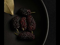 吃桑葚的好处与禁忌：科学避坑指南