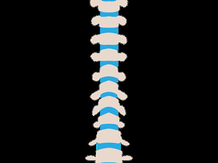 男性腰疼别硬扛？4种病因及科学应对方法