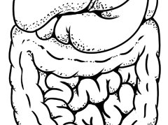 看舌苔知胃湿气重？这3种舌苔信号要留意