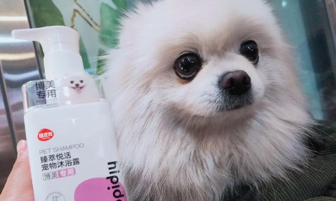 小博美的洗澡日常（一起来了解如何给小博美洗澡吧！）