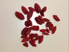 枸杞子护眼抗衰：科学吃法与误区解析