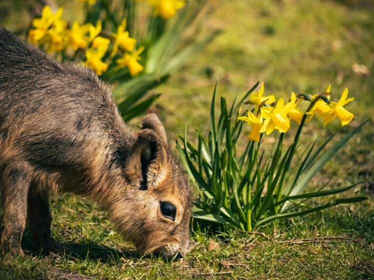 气虚体质怎么调？饮食运动中药全攻略补元气