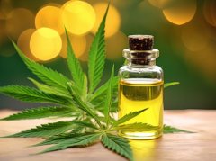 艾叶加醋泡脚能改善失眠？3个机制与要点需了解