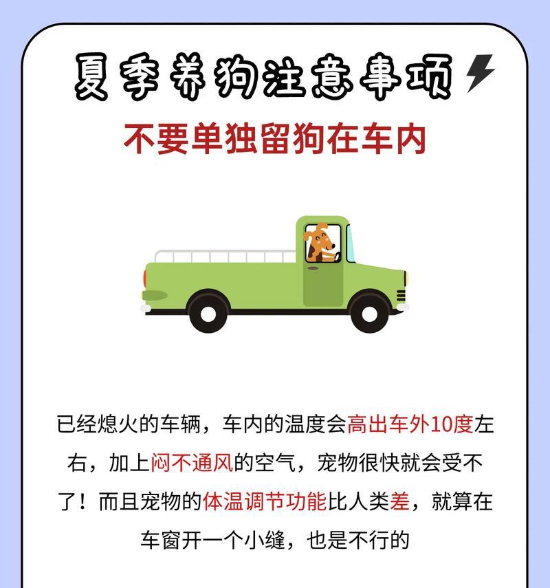 春天养狗注意事项（如何在春天科学养狗）