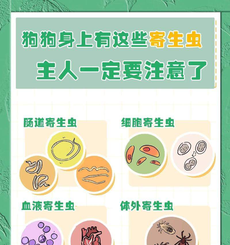 文章详情图片