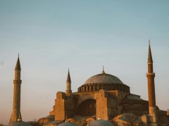 胆南星辅助中风调理：功效解析与安全使用原则