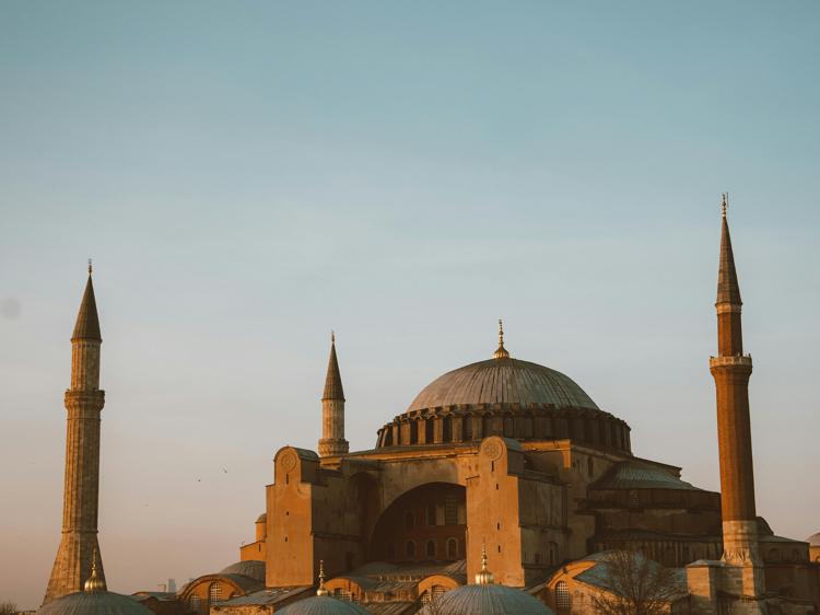 胆南星辅助中风调理:功效解析与安全使用原则 胆南星辅助中风调理:功效解析与安全使用原则